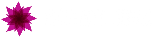 Amatista Joyas Chile